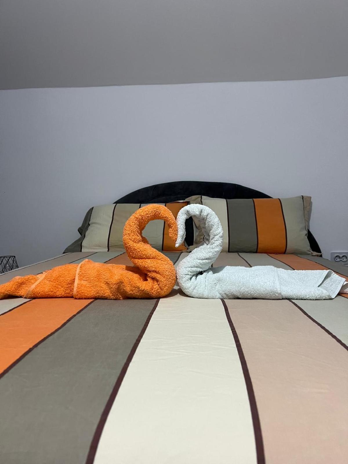 Casa Casy Βίλα Oradea Εξωτερικό φωτογραφία